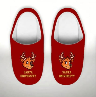 SU Mistletoe Slippers